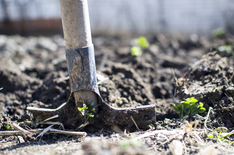 jardinerie-LE CANNET DES MAURES-min_equipment-2047314